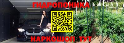 метадон Можга