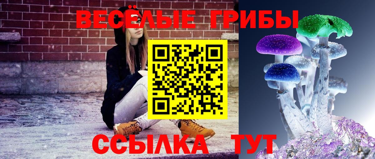 Галлюциногенные грибы ЛСД Сыктывкар